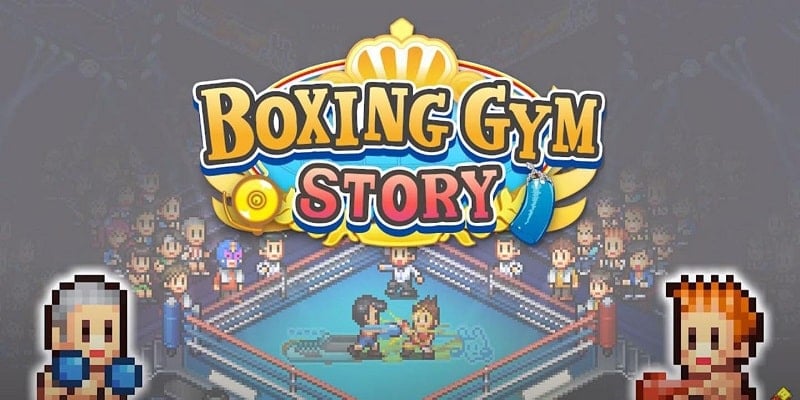 Boxing Gym Story