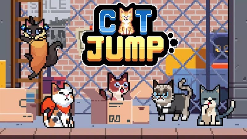 Cat Jump