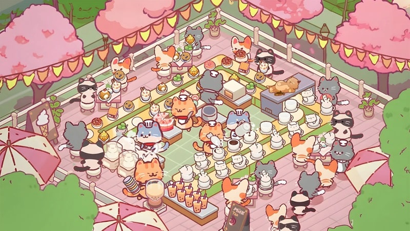 Cat Restaurant