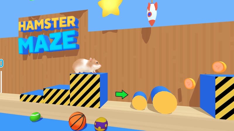 Hamster Maze