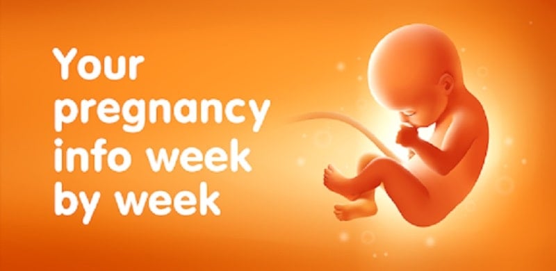 Pregnancy Tracker Week by Week