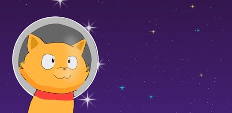 Space Cat