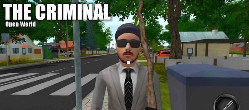 The Criminal